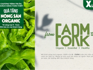 VƯỜN RAU XLAND – TÁI KẾT NỐI CON NGƯỜI VỚI THIÊN NHIÊN TỪ MỘT MẢNH VƯỜN NHỎ
