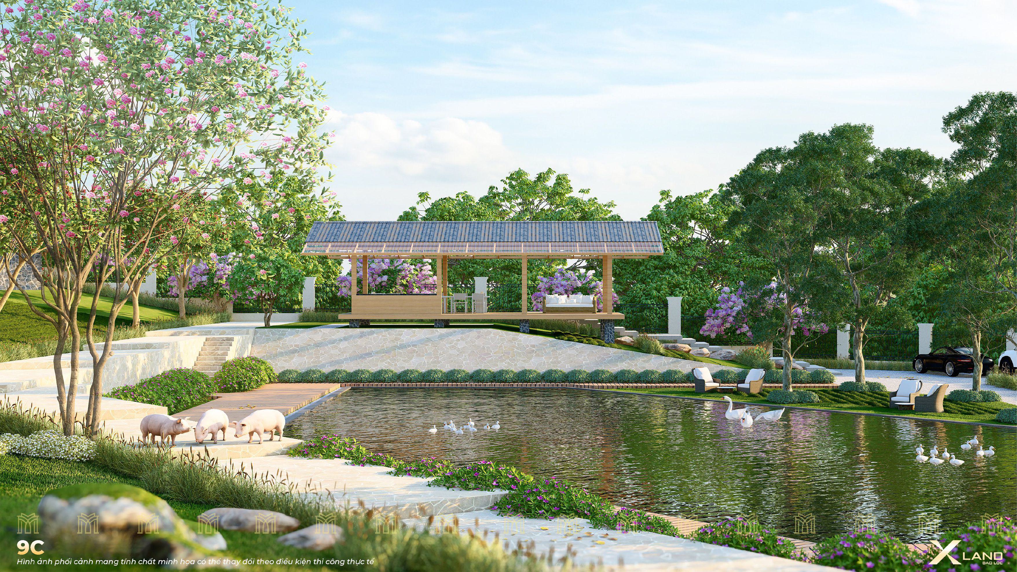Top Garden Hills 9C Top Garden Hills 9C